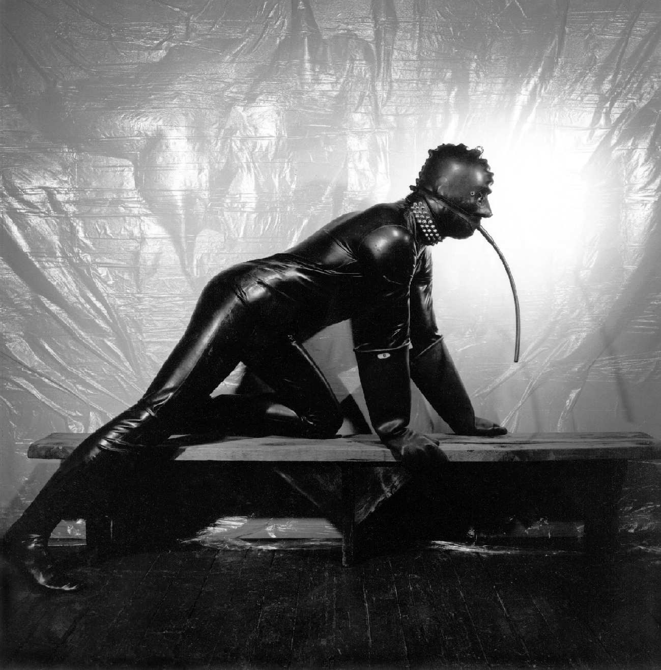 mapplethorpe_1